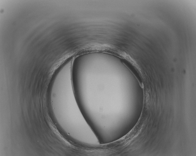 X0000063480581200601271657