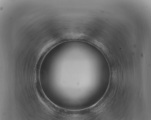 X0000063480582200601271657