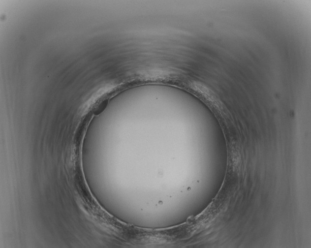 X0000063480583200601271657