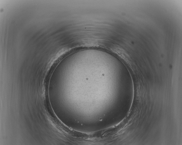 X0000063480584200601271657