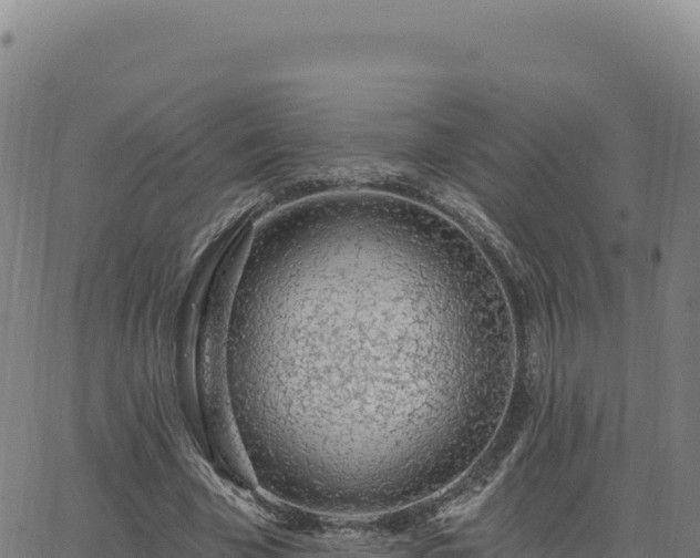 X0000063480585200601271657