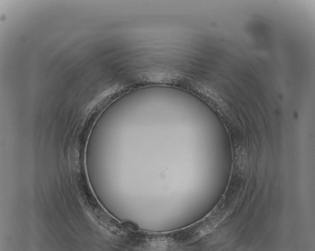 X0000063480587200601271657