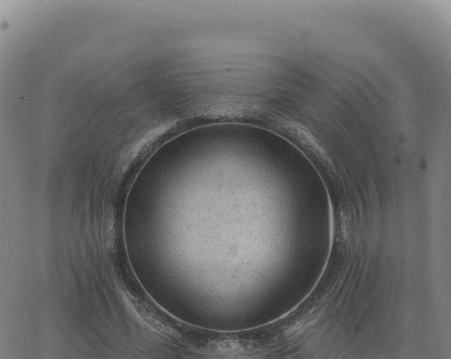 X0000063480588200601271657