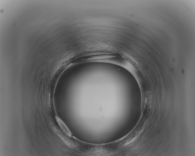 X0000063480589200601271657