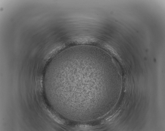 X0000063480590200601271657