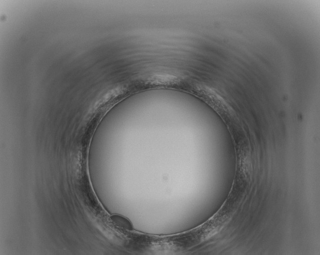 X0000063480591200601271657