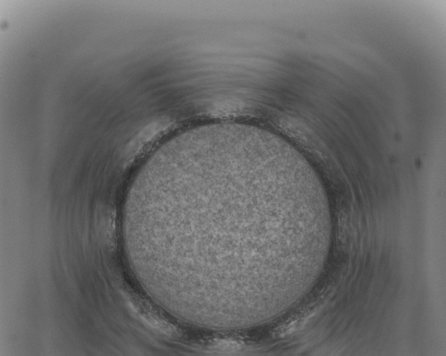 X0000063480592200601271657