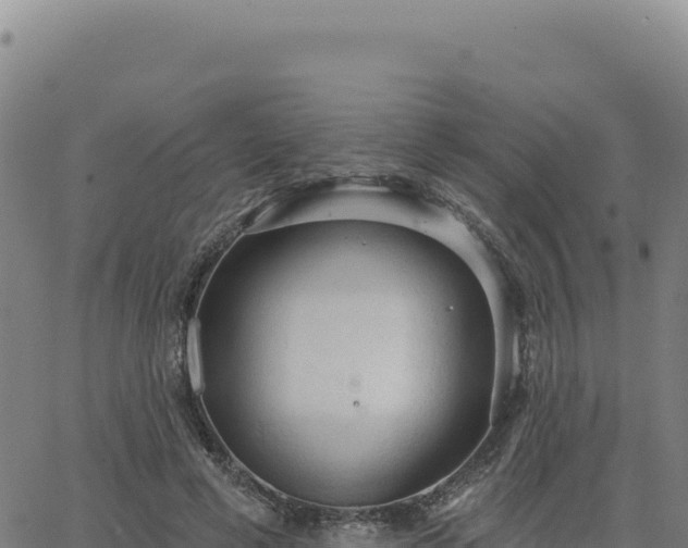 X0000063480593200601271657