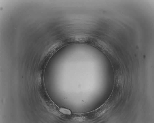 X0000063480595200601271657