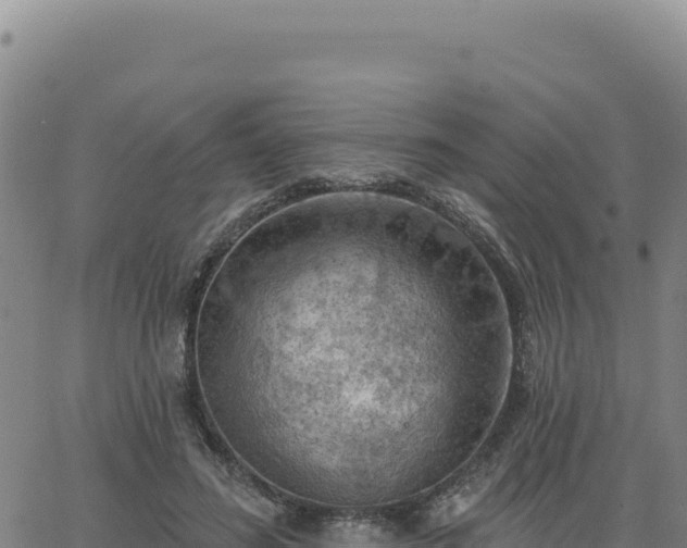 X0000063480596200601271656