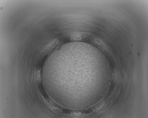 X0000063480598200601271656