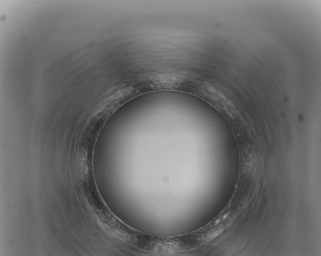 X0000063480599200601271656