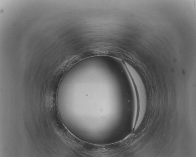 X0000063480600200601271656