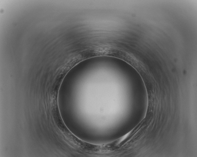 X0000063480601200601271656