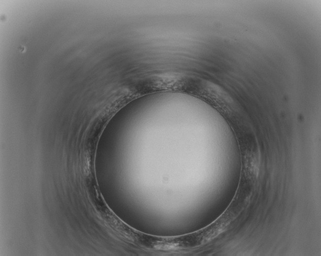 X0000063480602200601271656