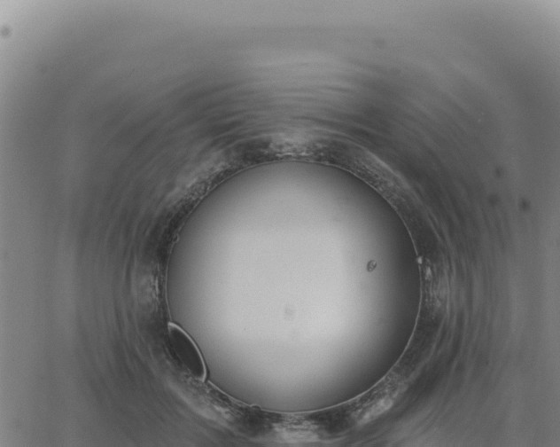 X0000063480603200601271656