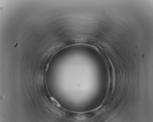 X0000063480604200601271656