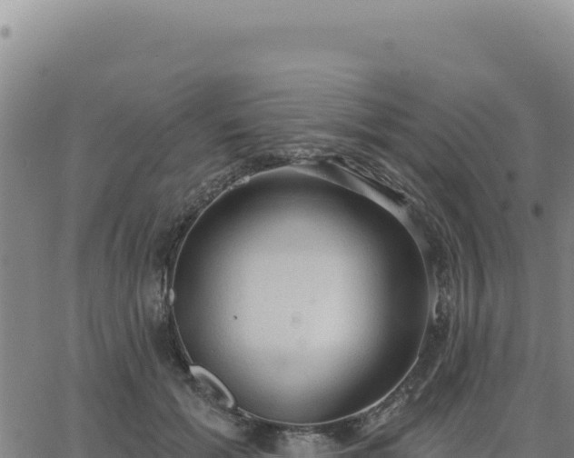 X0000063480605200601271656