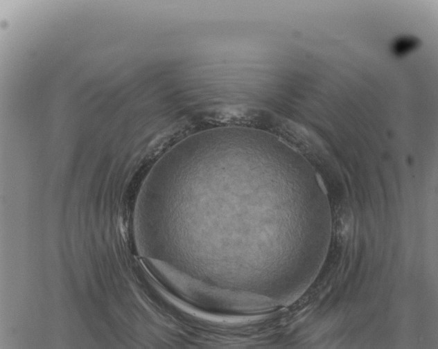 X0000063480607200601271656