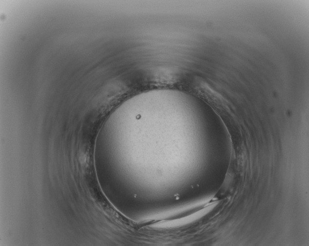 X0000063480608200601271656