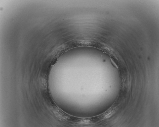 X0000063480609200601271656