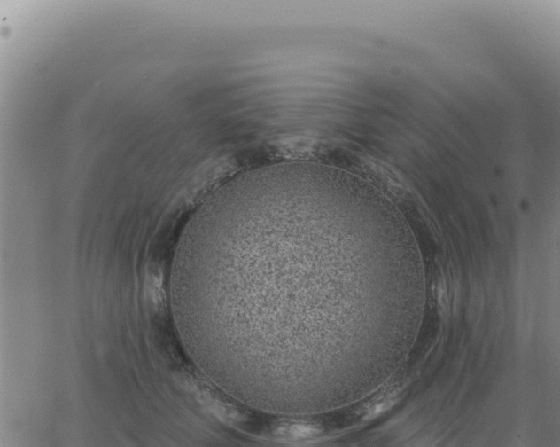 X0000063480610200601271656