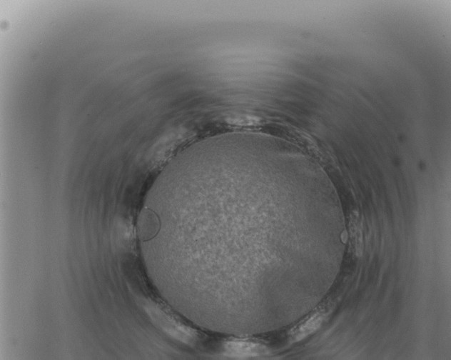 X0000063480614200601271656