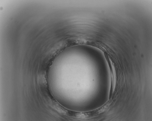 X0000063480616200601271656