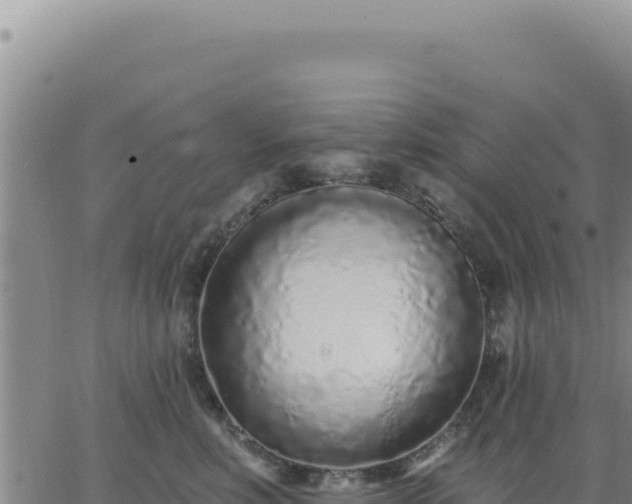 X0000063480618200601271656