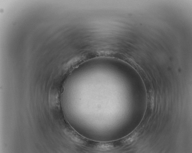 X0000063480619200601271656