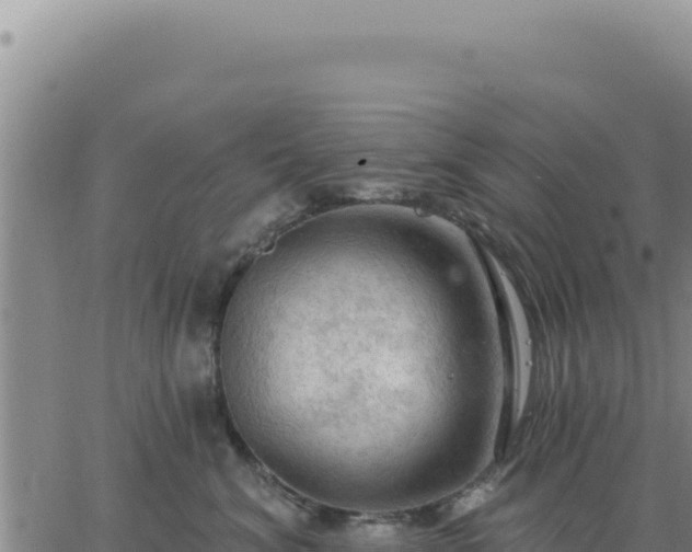 X0000063480620200601271656