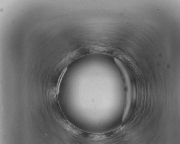 X0000063480621200601271656