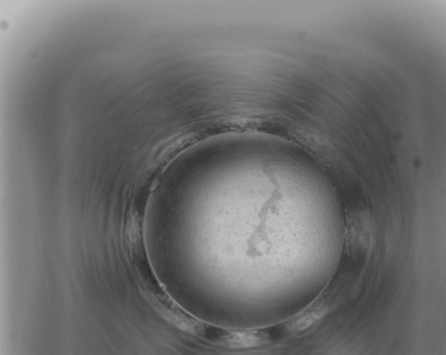 X0000063480623200601271656