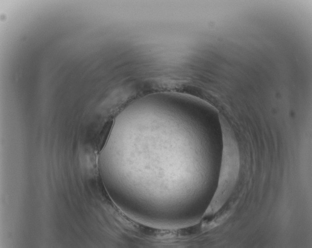 X0000063480624200601271656