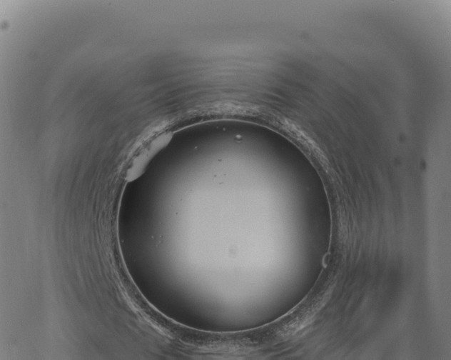 X0000063480625200601271655