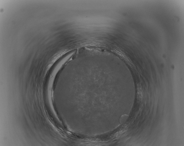 X0000063480626200601271655