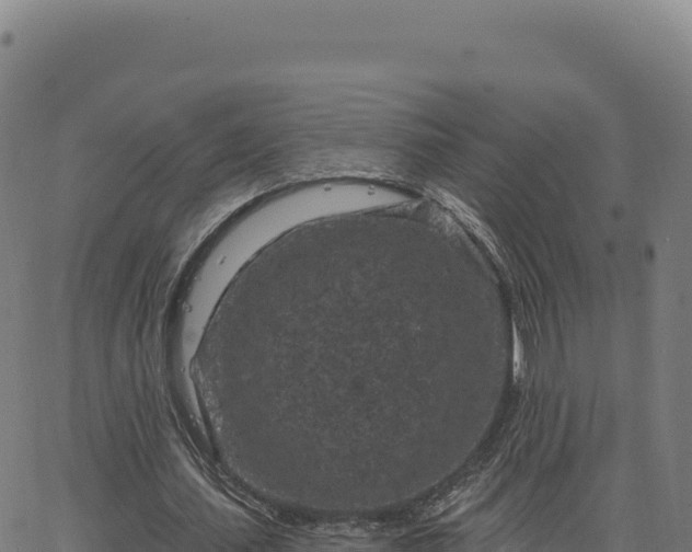 X0000063480627200601271655