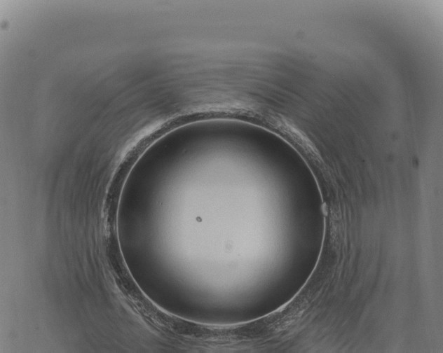 X0000063480628200601271655