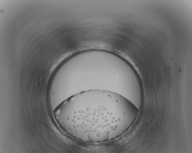 X0000063480629200601271655