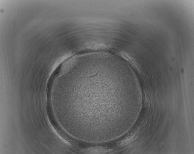 X0000063480630200601271655