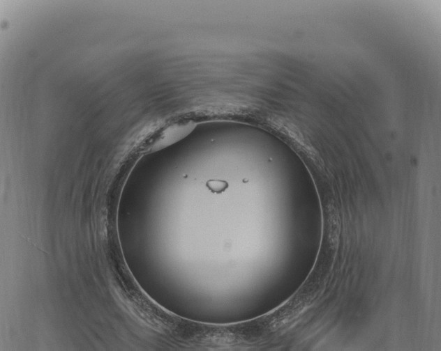 X0000063480631200601271655