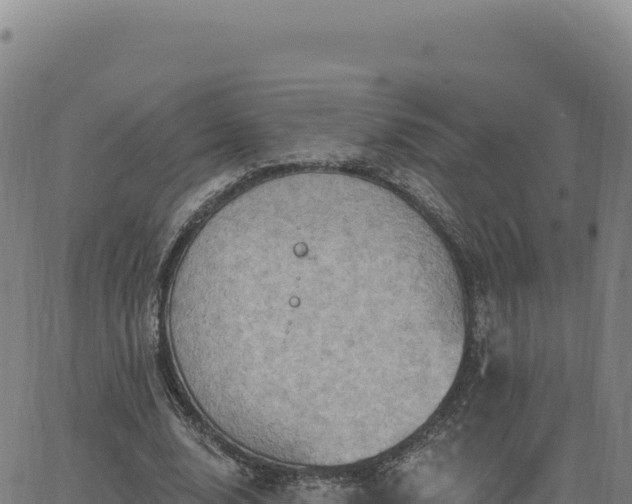 X0000063480632200601271655