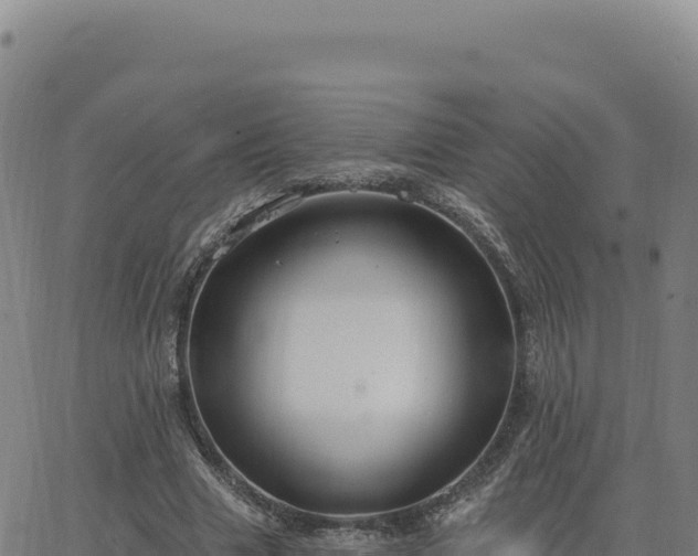 X0000063480633200601271655