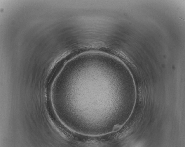 X0000063480634200601271655