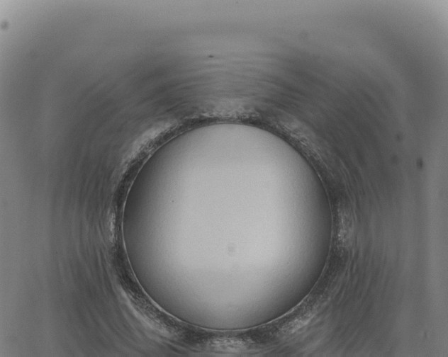 X0000063480636200601271655