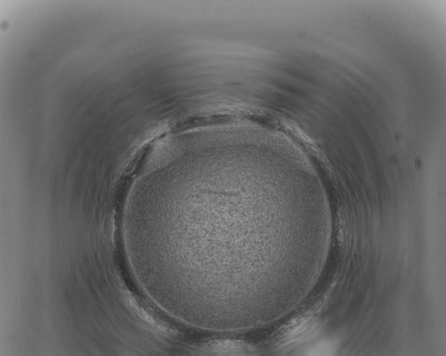 X0000063480637200601271655