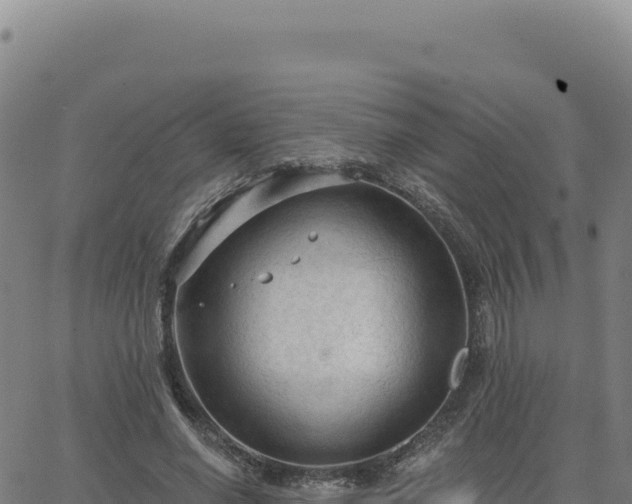 X0000063480638200601271655