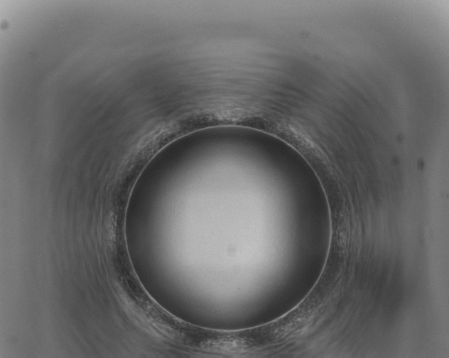 X0000063480639200601271655