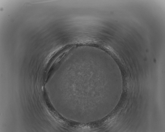 X0000063480640200601271656