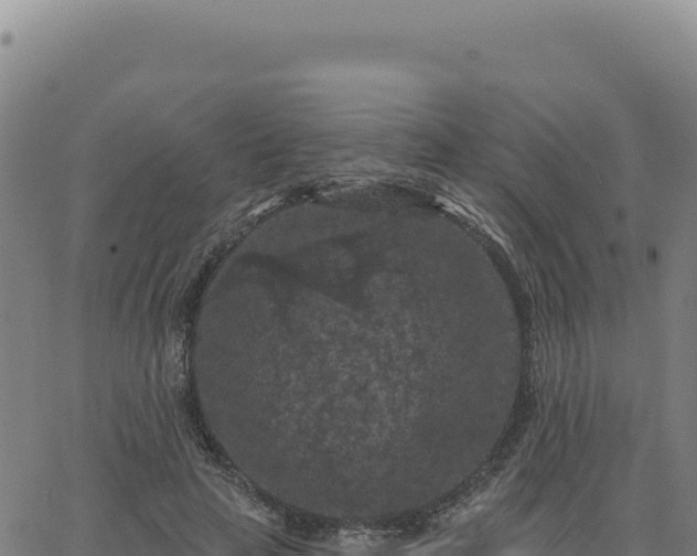 X0000063480641200601271656